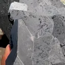 specimen video