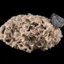 Galena on Dolomite - image 3