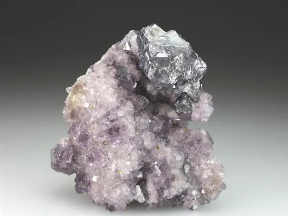 Galena on Fluorite - image 1