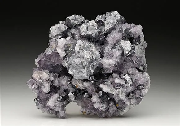 Galena on Fluorite image