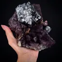 Galena on Fluorite - image 1