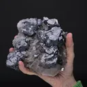 Galena on Fluorite - image 2