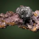 Galena on Fluorite - image 3