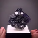 Galena on Fluorite - image 2