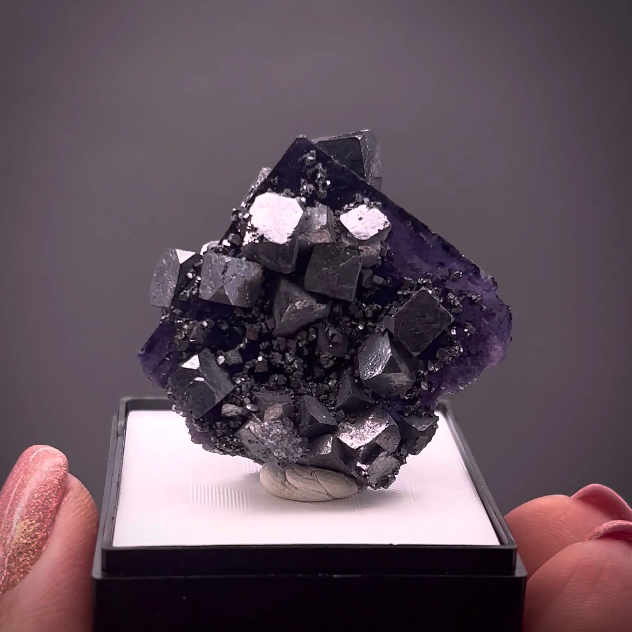 Galena on Fluorite - image 2