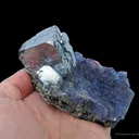 Galena on Fluorite With Sphalerite - image 2