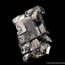 Galena on Pyrite - image 4