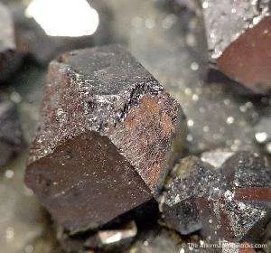 Galena on Quartz image