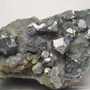 Galena on Quartz - image 2