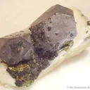 Galena on Quartz - image 2