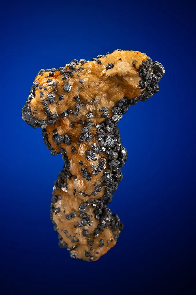 Galena on Siderite image