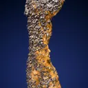 Galena on Siderite - image 1