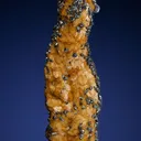 Galena on Siderite - image 5