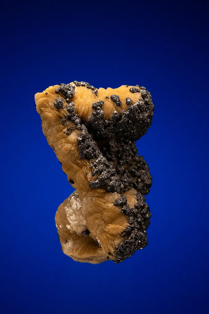 Galena on Siderite image
