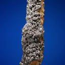 Galena on Siderite - image 2