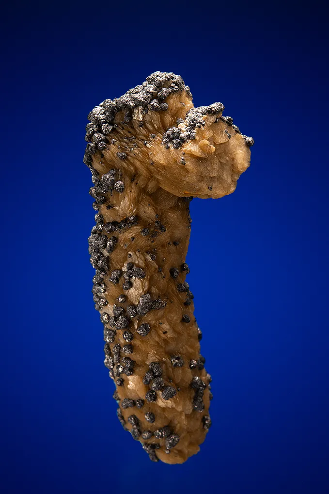 Galena on Siderite image