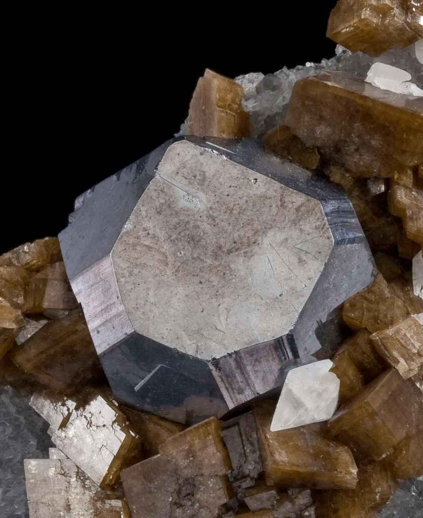 Galena on Siderite image