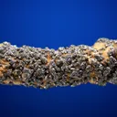 Galena on Siderite - image 3
