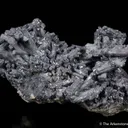 Galena ps. after Pyromorphite, on Galena - image 2