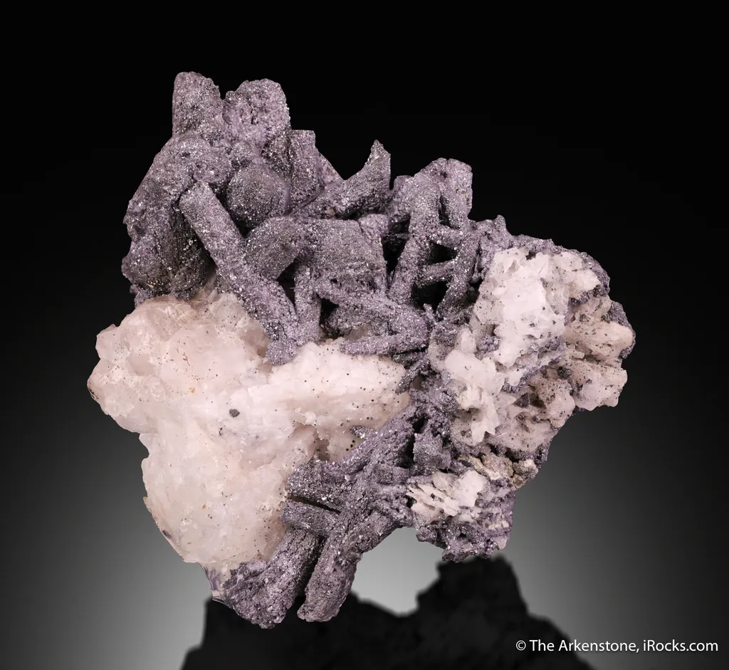 Galena ps. Pyromorphite (circa mid-1800s) image