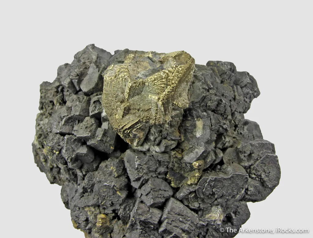 Galena ps. Pyromorphite, with Pyrite (dated 1866) - image 6