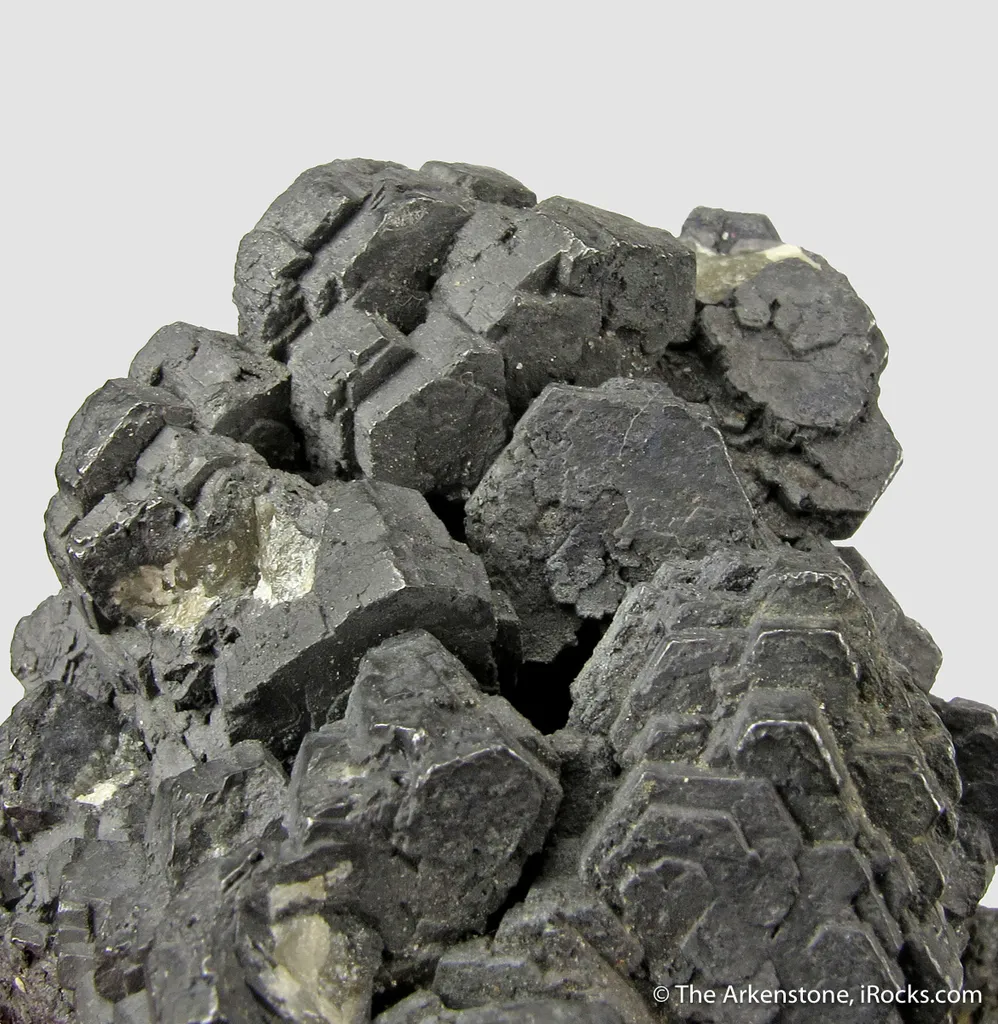 Galena ps. Pyromorphite, with Pyrite (dated 1866) image
