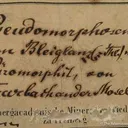 Galena Pseudo. Pyromorphite - image 3