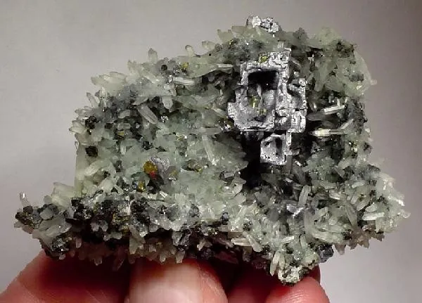 Galena, Quartz, Chlorite Group image