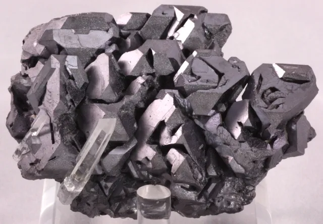 Galena, Quartz, Sphalerite image