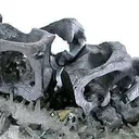 Galena (Skeletal) - image 3