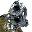 Galena (Skeletal)On Chalcopyrite - image 2