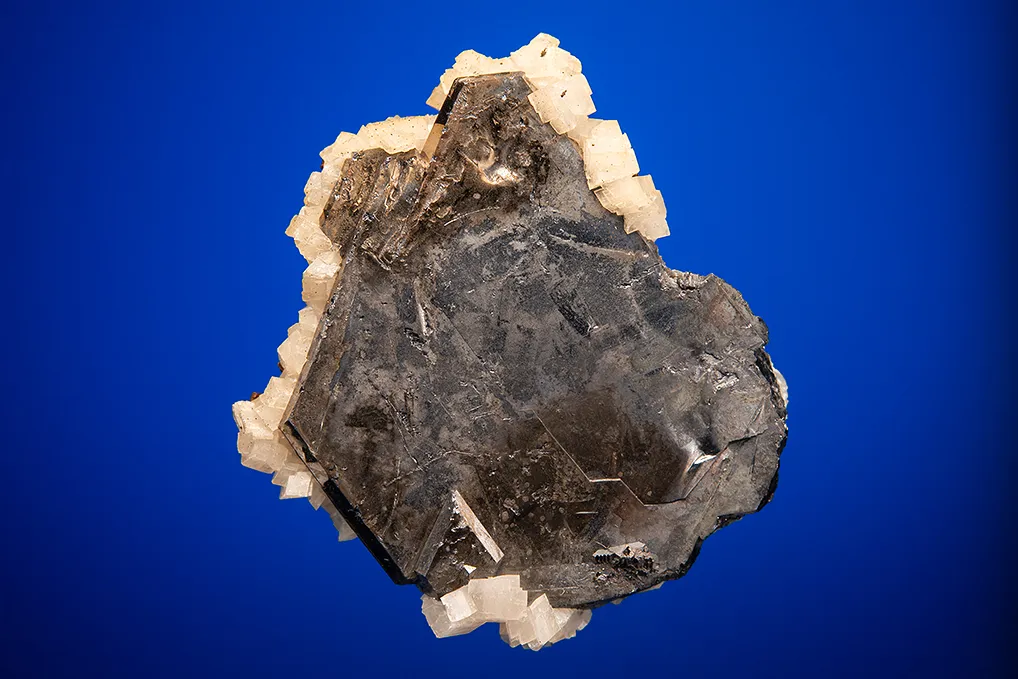 Galena (Spinel law twin) with Dolomite image