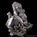 Galena (Spinel twinned) with Sphalerite - image 2