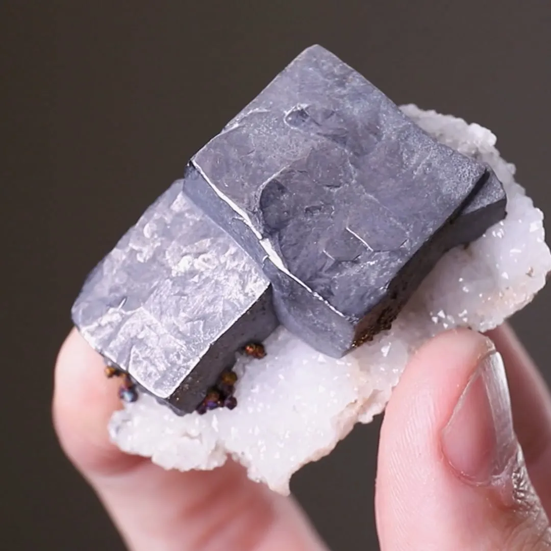 Galena with Chalcopyrite on Quartz - image 2