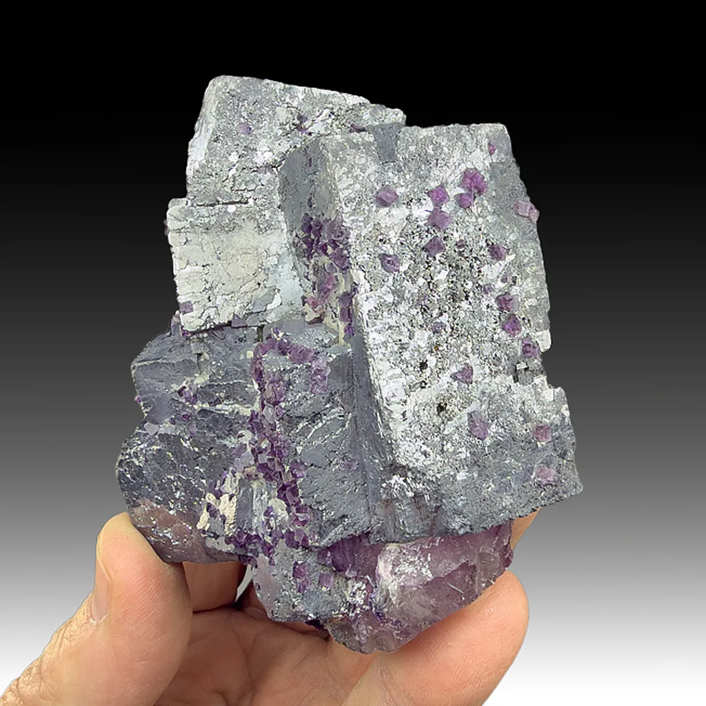 Galena with Fluorite image