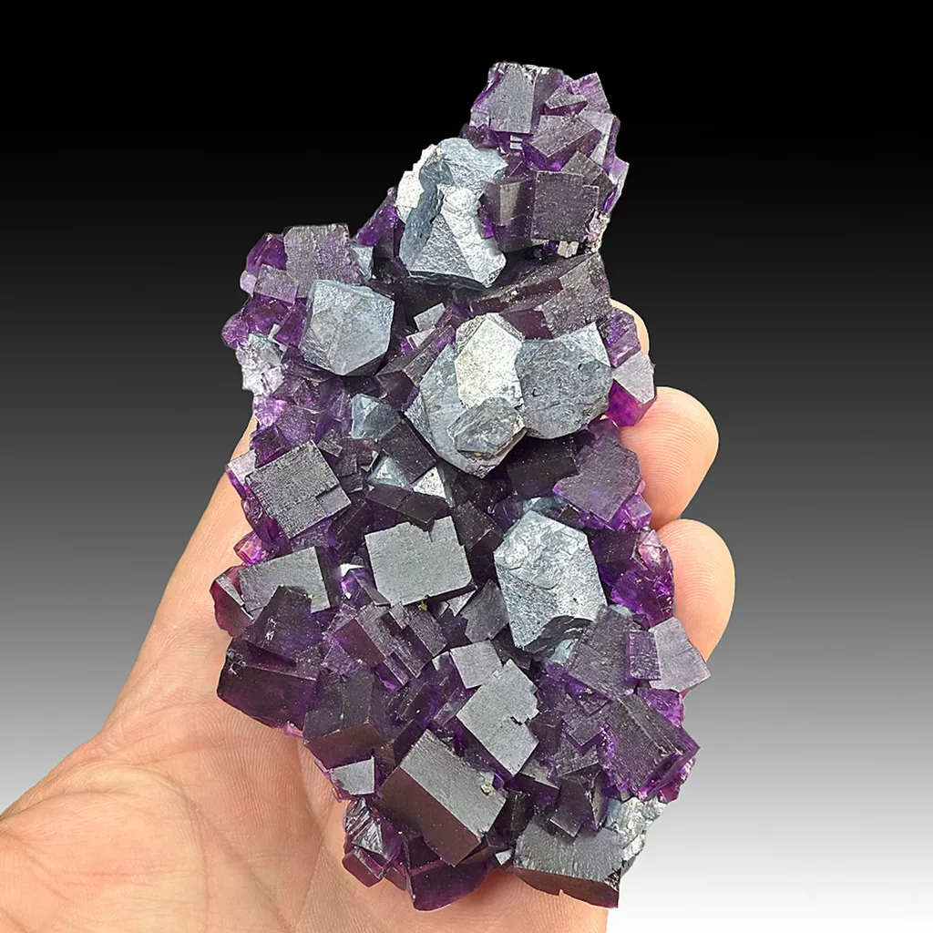Galena with Fluorite image