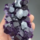 Galena with Fluorite - image 2