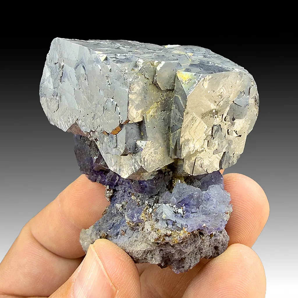 Galena with Fluorite image