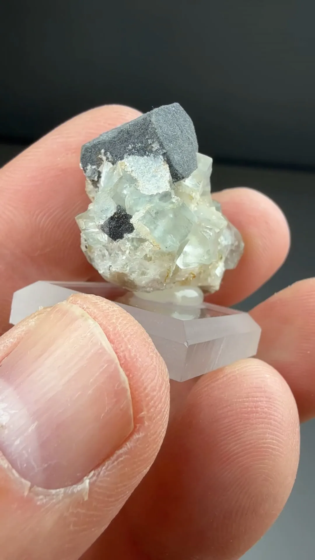 Galena with Fluorite, Quartz (875) - image 2