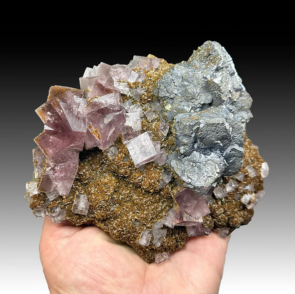 Galena with Fluorite, Siderite - image 2