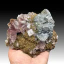 Galena with Fluorite, Siderite - image 2