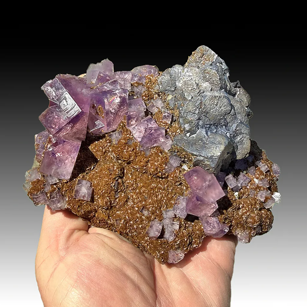 Galena with Fluorite, Siderite image