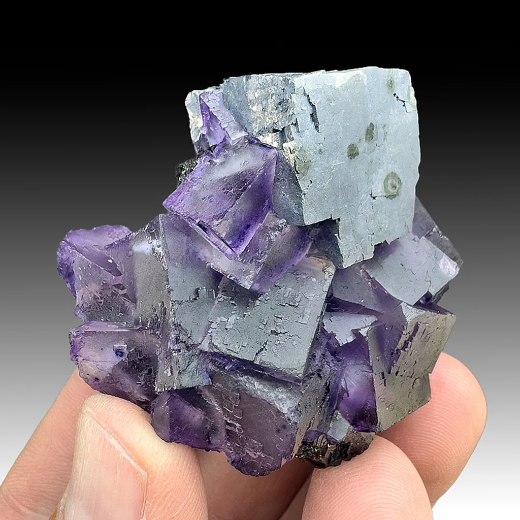 Galena with Fluorite, Sphalerite image