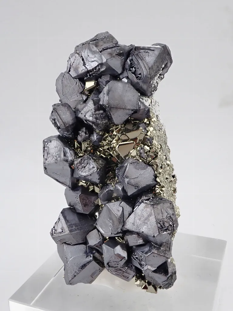 Galena with Pyrite image
