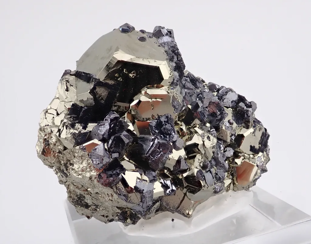 Galena with Pyrite image