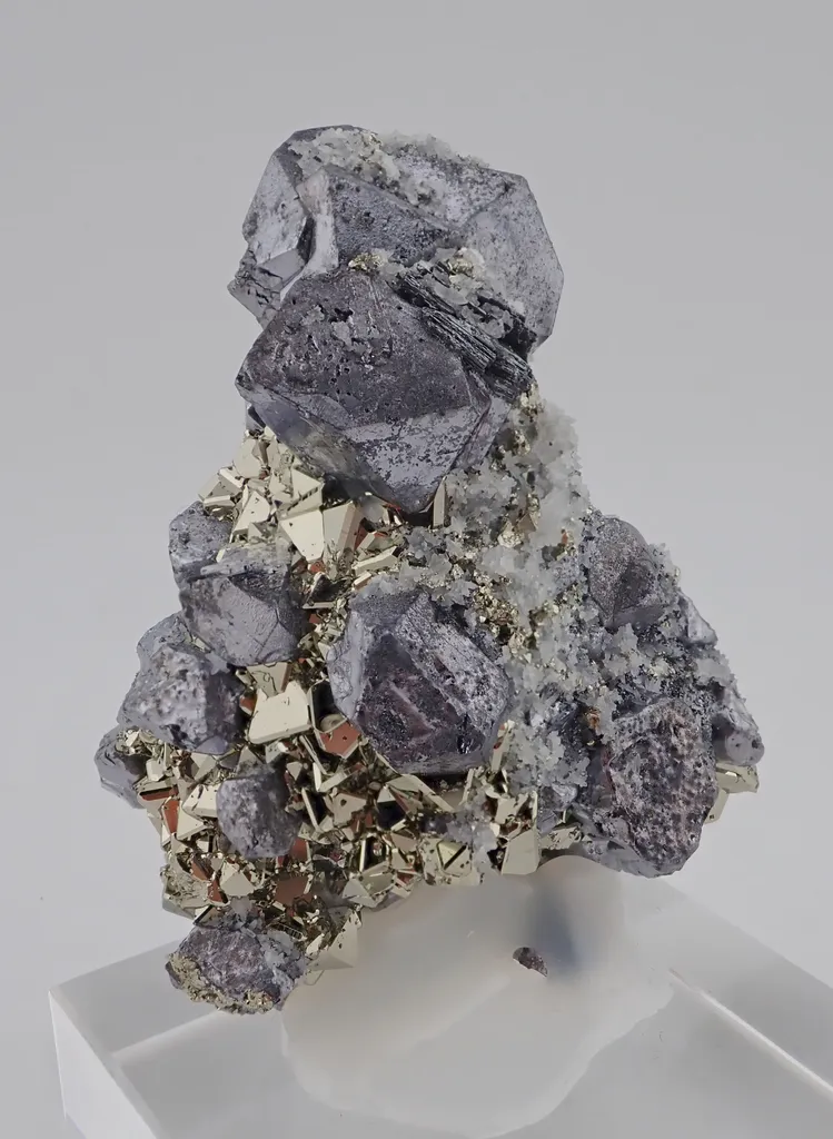 Galena with Pyrite - image 2
