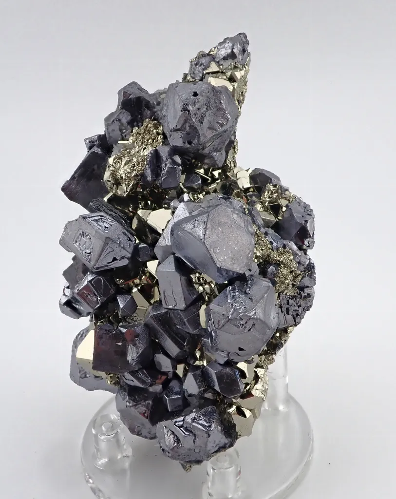 Galena with Pyrite image