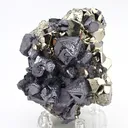 Galena with Pyrite - image 2