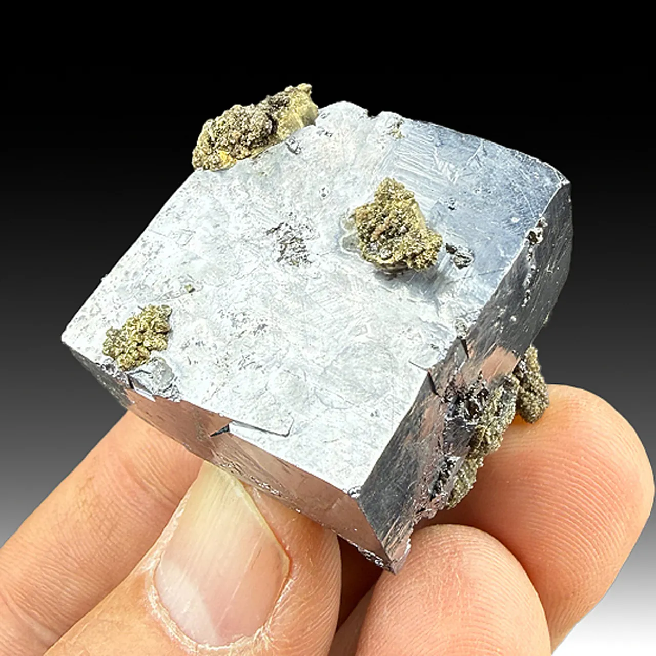 Galena with Pyrite - image 1