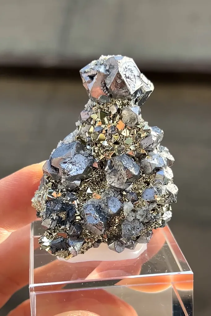 Galena with Pyrite - image 5